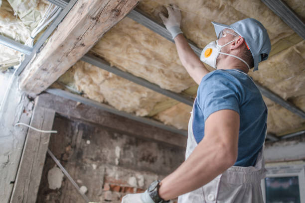 Best Energy Efficiency Solutions in Jamaica Beach, TX
